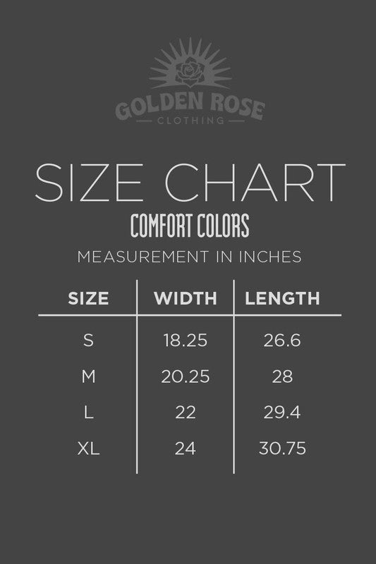 Lone Star State Texas Graphic Comfort Colors Tee