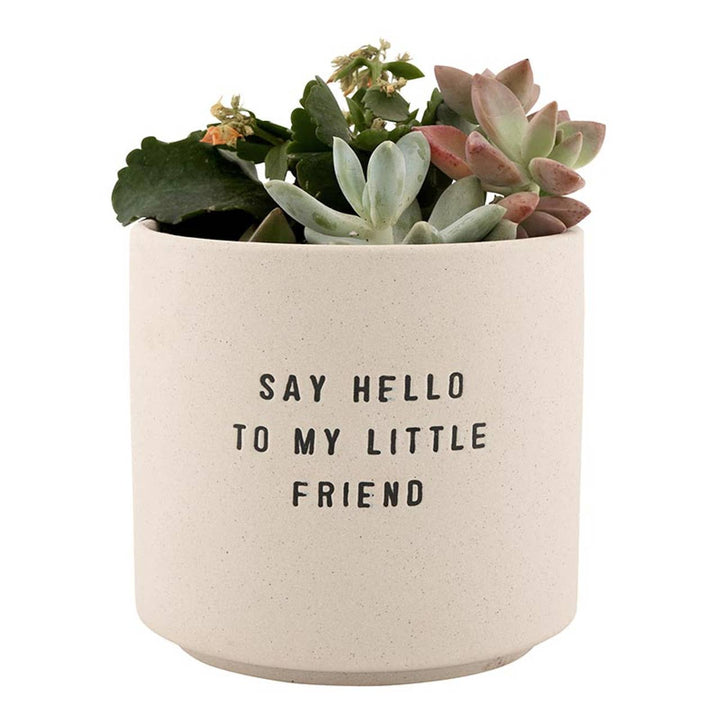 Ceramic Planting Pots - Set of 2