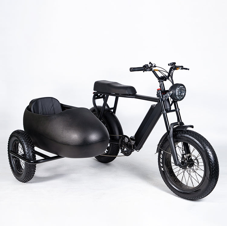 SoverSky sidecar bike