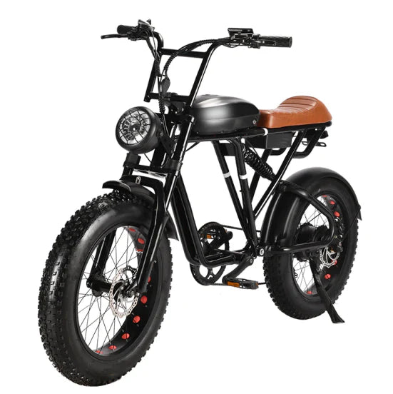 EB45-4813 Fat Tire Bike